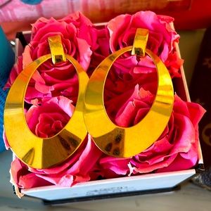 Vintage signed Monet Earrings Vintage